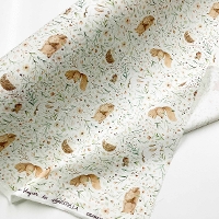 �y���Z�Z�[���zUSA�R�b�g���v�����g���n�@�X�̓�������