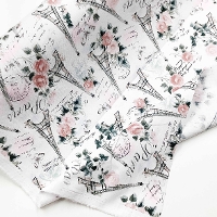 �y���Z�Z�[���zUSA�R�b�g���v�����g���n�@PARIS