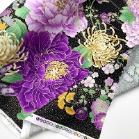 �y���Z�Z�[���zUSA�R�b�g���v�����g���n�@�ԂƎ��@