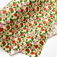 �y���Z�Z�[���z�R�b�g���V�[�`���O�v�����g���n�@������