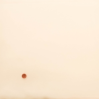 ������V���N�T�e�����n�@���n