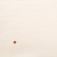 C/S�O���O�������n�@���n