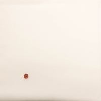 �V���N�R�b�g���h�r�[���n�@����