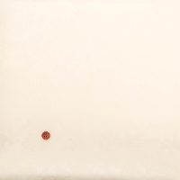 �V���N�E�[���W���K�[�h���n�@