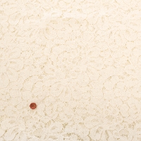 �t�����X���@���o�[���[�X���n