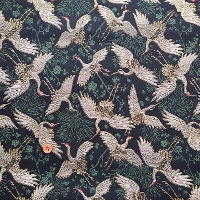 ���E�@��