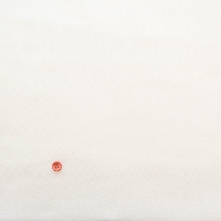 �R�b�g���V���O���K�[�[���n�@���n