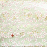 ���E�@���͗l