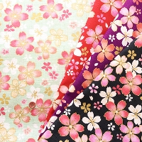 �R�b�g���h�r�[�v�����g���n�@�a���@������