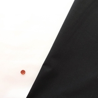 �M�U��100/2�^�C�v���C�^�[���n�@���n