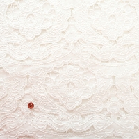 �C�^���A���@�R�b�g���Ў��{�[�_�[���[�X���n