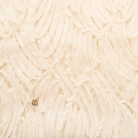 �|���G�X�e���J�b�g���[�X���n