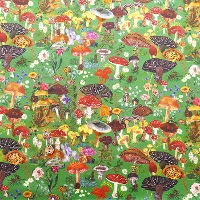 USA�R�b�g���@FREE SPIRIT�@MOUSSE