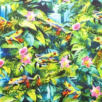 USA�R�b�g���@TIMELESS TREASURES�@Frog