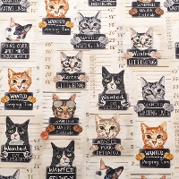 USA�R�b�g���@TIMELESS TREASURES�@WANTED