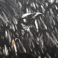 �������@�R�b�g���V�[�`���O�C���N�W�F�b�g�v�����g���n�@Crow