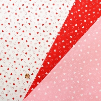 �R�b�g���X�P�A�v�����g���n�@�n�[�g