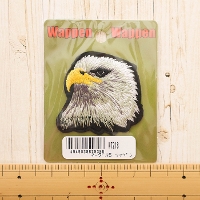 �A�C�������b�y���@�C�[�O��