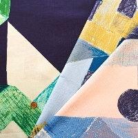 �R�b�g���r�G���v�����g���n�@KESHIKI�@Asanoyama