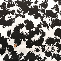 �|���G�X�e���A���e�B�[�N�f�V���v�����g���n�@