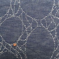 �C�^���A���@QUORUM�@�R�b�g���W���K�[�h���n�@����