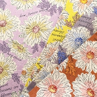 C/L�L�����o�X���n�@�t�����[