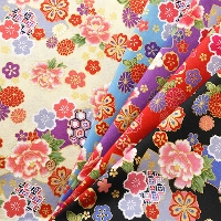 �R�b�g���X�P�A�����v�����g���n�@�a��