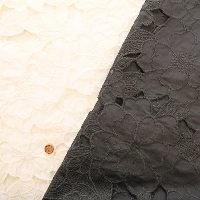 �C�^���A���@T/C���[�X���n�@�t�����[