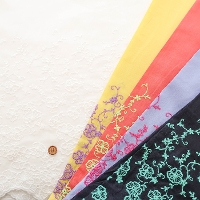 �R�b�g���J���[�{�[�_�[���[�X���n�@�t�����[