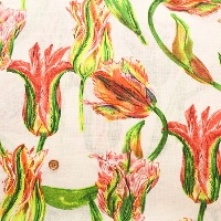 �������@���l���v�����g���n�@�t�����[