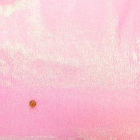 �|���G�X�e���p�[���E�F�[�u���n�@���n