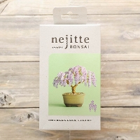 �l�W�b�eBONSAI�L�b�g�@��