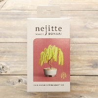 �l�W�b�eBONSAI�L�b�g�@���i�M