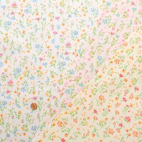 �R�b�g���X�P�A�v�����g���n�@�~�j�t�����[