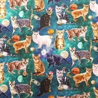 �R�b�g���V�[�`���O�C���N�W�F�b�g�v�����g���n�@nora.�@�F���˂�