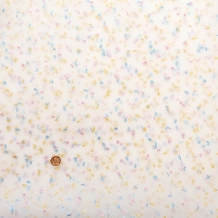 �������@�i�C�����`���[�����n�@����