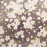 �R�b�g���T�U���N���X�v�����g���n�@��