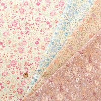 �R�b�g��60���[���v�����g���n�@�v�`�t�����[