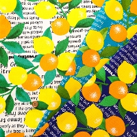 �R�b�g���I�b�N�X�v�����g���n�@������