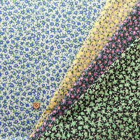 �R�b�g��60���[���v�����g���n�@�A�[�g�t�����[