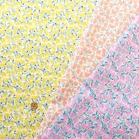 �R�b�g��60���[���v�����g���n�@�t�����[