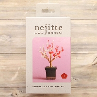 �l�W�b�eBONSAI�L�b�g�@�~