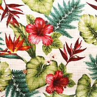 C/L�v���y���v�����g���n�@�n���C�A�� (1-046-730000570-wh)