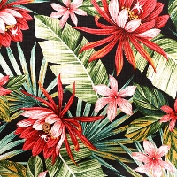 C/L�v���y���v�����g���n�@�n���C�A�� (1-046-730000570-bk)