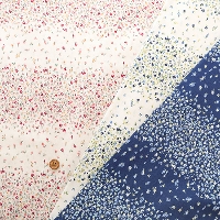 �R�b�g��80/240�{���n�@�v�`�t�����[