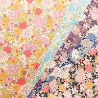 �R�b�g���c�C���v�����g���n�@�t�����[