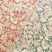 �R�b�g���c�C���v�����g���n�@�X�J�r�I�T