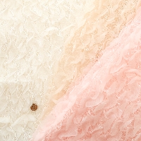 �|���G�X�e�����{���W���K�[�h���n