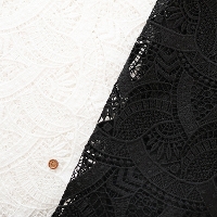 �|���G�X�e���P�~�J�����[�X���n�@