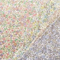 �R�b�g�������x80���[���v�����g���n�@�t�����[